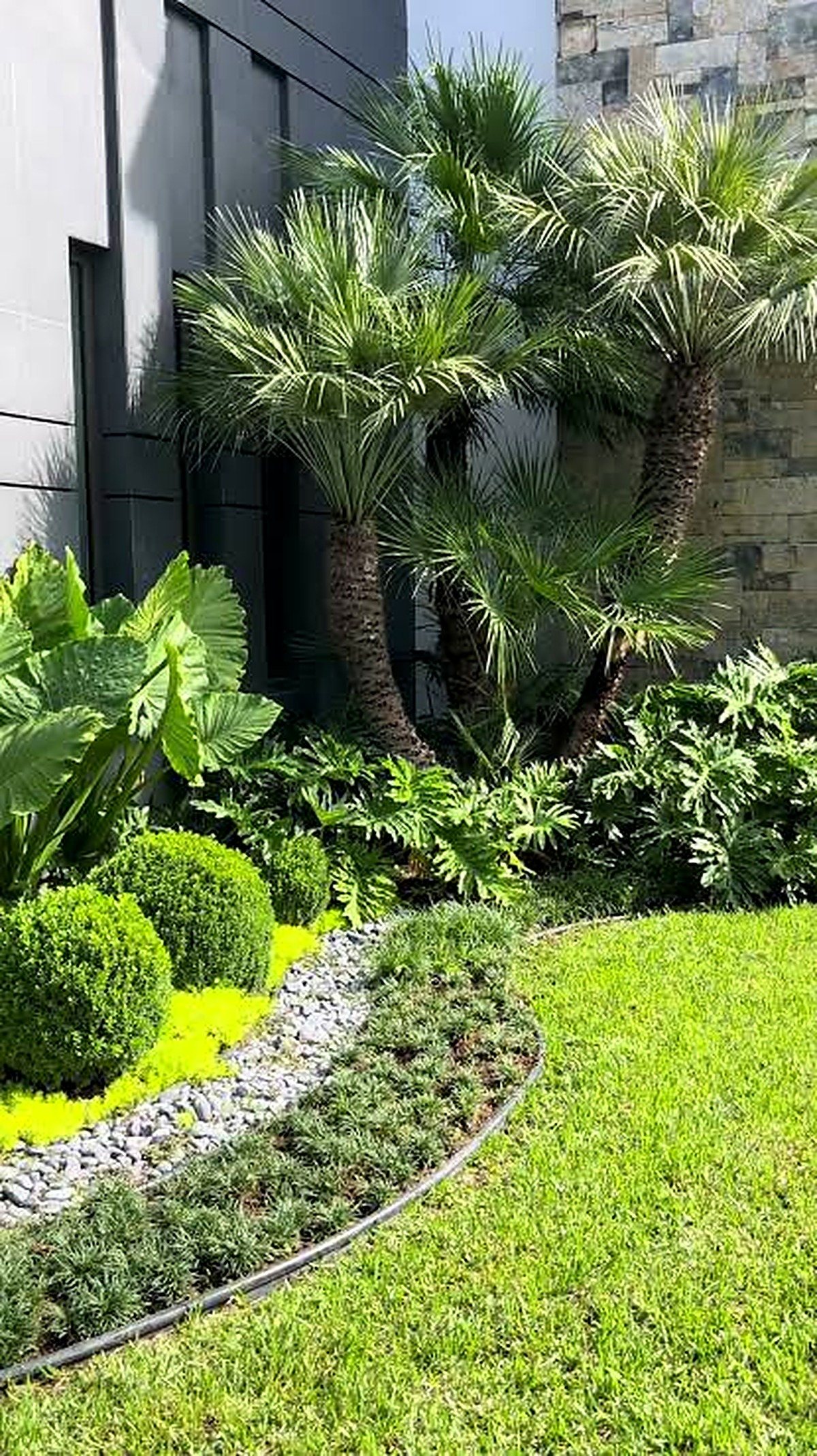 Decoración de jardín con palmeras y piedra decorativa